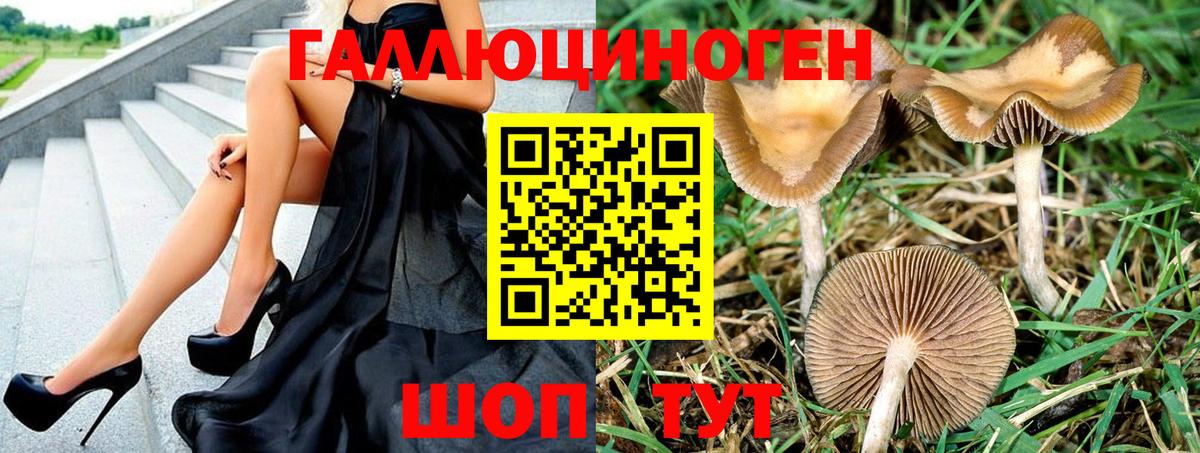 Псилоцибиновые грибы Cubensis Железноводск